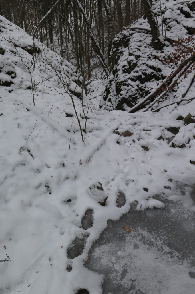 Svatý Jan pod skalou