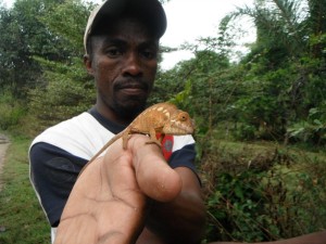 Madagaskar