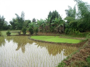 Madagaskar